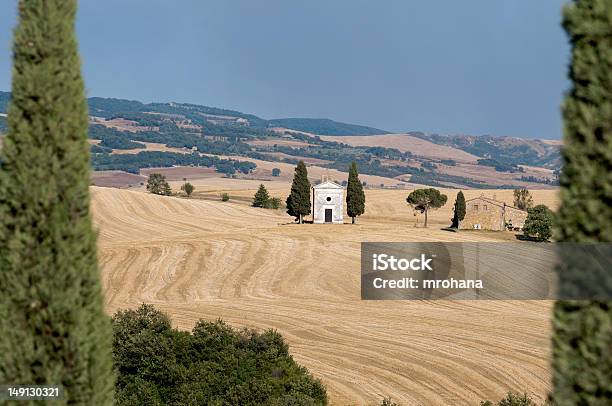 Foto de Toscana Val Dorcia e mais fotos de stock de Agricultura - Agricultura, Ajardinado, Campo