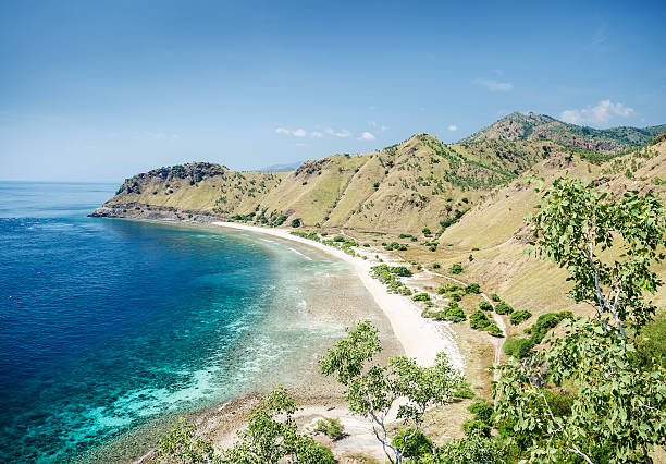 istock beach near dili east timor 149130796
