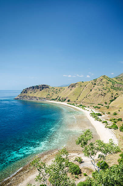 istock beach near dili east timor 149130801