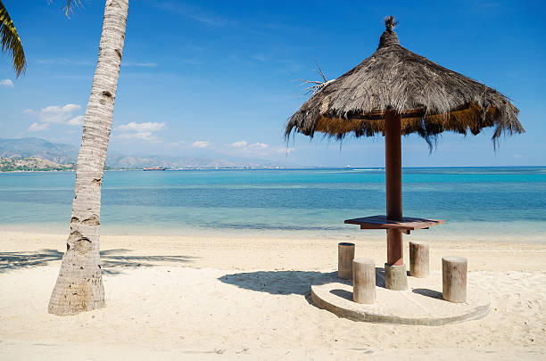 istock beach near dili east timor 149130805