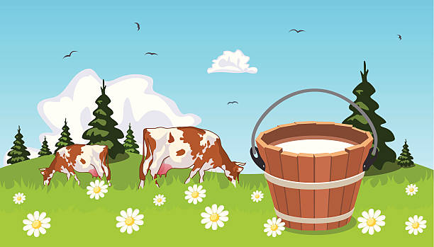 krowa w łąka wiaderko z mlekiem w planie - surowe mleko stock illustrations