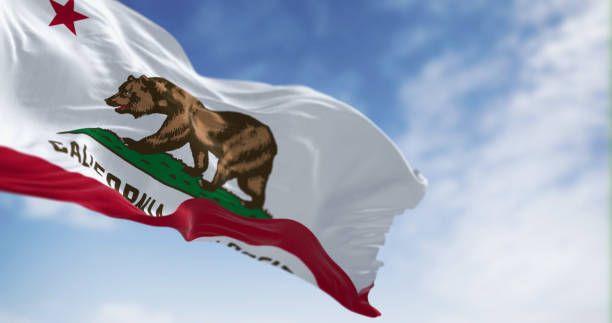 istock California State flag waving on a clear day 1491308410
