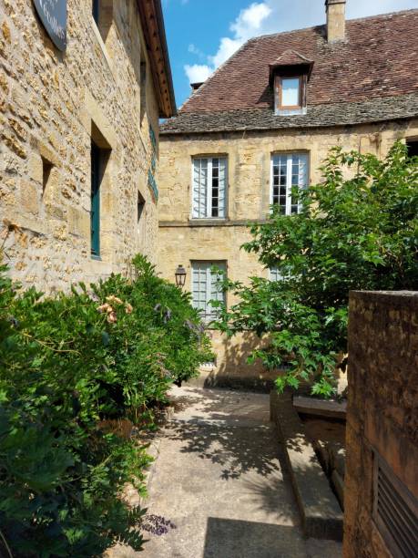 istock view of Sarlat 1491308969