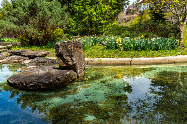 istock Royal Botanical Gardens - Rock Garden, Hamilton, Canada 1491309891