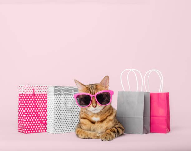 gatto rosso divertente in occhiali con sacchetti della spesa di carta su uno sfondo colorato. - domestic cat bag shopping gift foto e immagini stock
