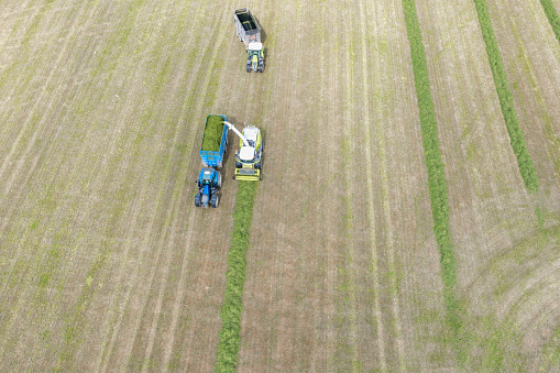 Drone view of cut grass for silage being collected in a field on a spring morning in Scotland