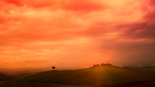  Please look at my image of the Tuscan region 