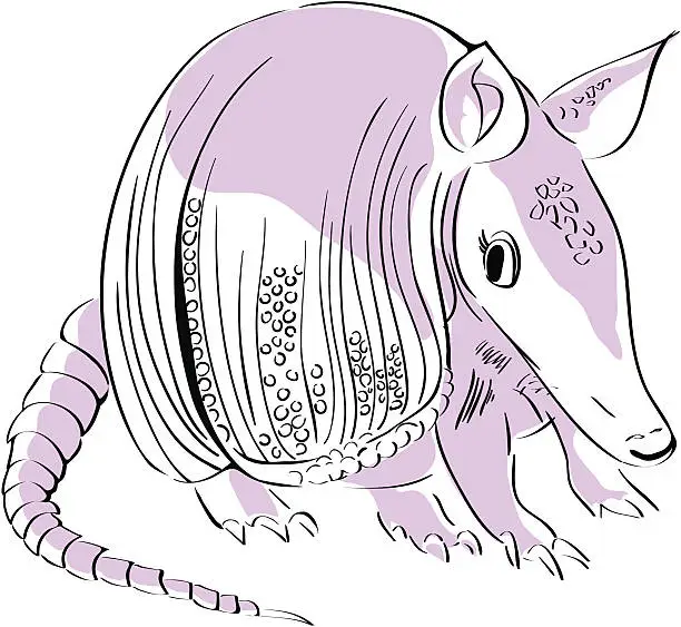 Vector illustration of armadillo