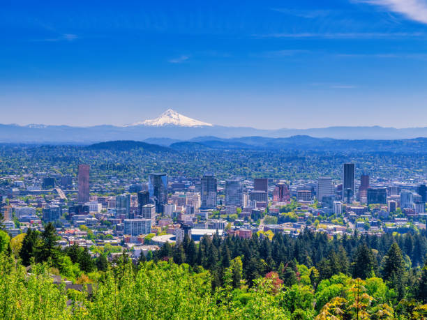 istock Portland Oregon skyline with Mt. Hood in springtime 1491313210