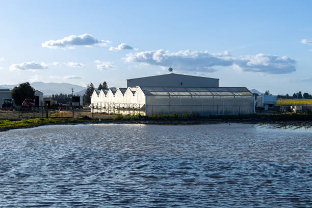 istock Greenhouse and pond in California 1491315249