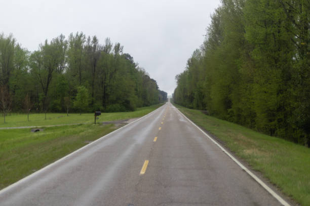istock country road through the green forest 1491315294
