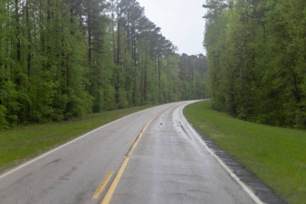 istock country road through the green forest 1491315336