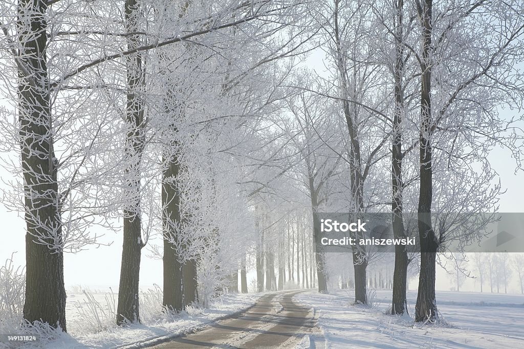 Winter-Straße an einem sonnigen Tag - Lizenzfrei Erhöhter Fußgängerweg Stock-Foto