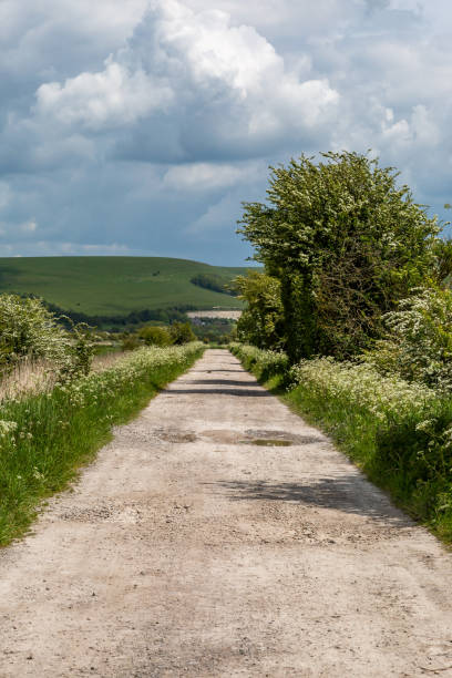 화창한 5월의 어느 날 서식스의 비포장 도로를 따라 바라보고 있다 - dirt road national park south downs footpath 뉴스 사진 이미지