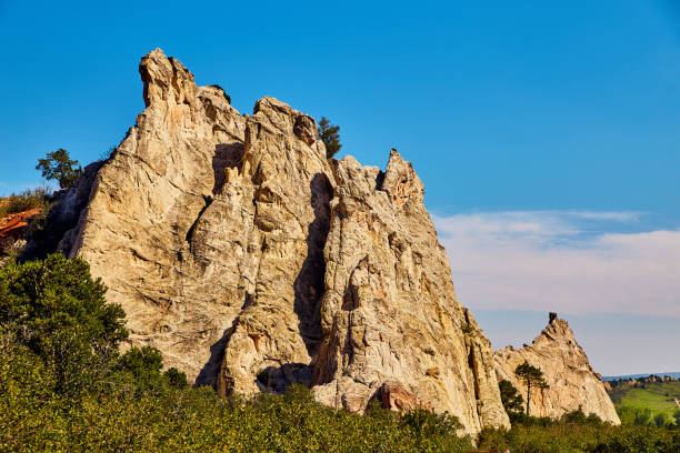 istock Rock outcropping in field of trees 1491319087