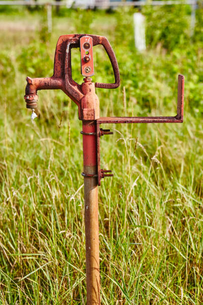 istock Rusted orange water spigot in wild tall grasses 1491319152