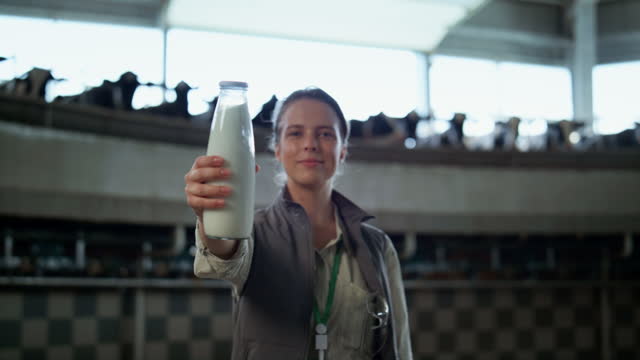 Smiling livestock manager posing in dairy production facility parlour alone.