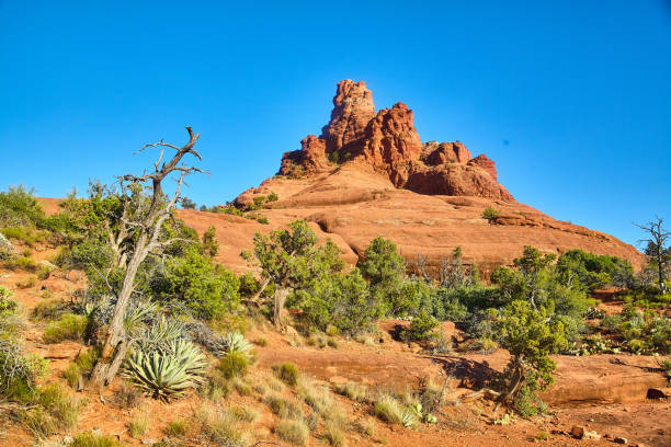 istock Scrubby trees and bushes surround a Bell Rock peak 1491319903