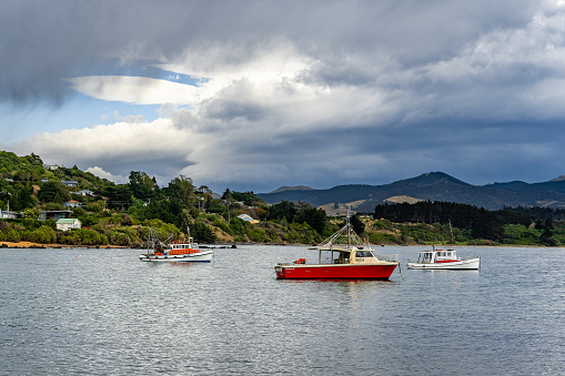 A few fishing boats moored in a harbour on the east coast of New Zealand