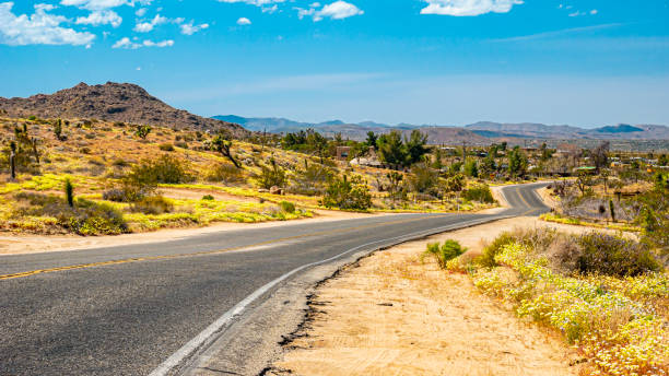 野の花が咲く砂漠の道 - desert road road highway california ストックフォトと画像