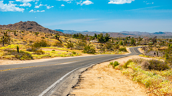 A road winding through the desert near Joshua Tree National Park during the superbloom with wildflowers blooming in the Mojave Desert.