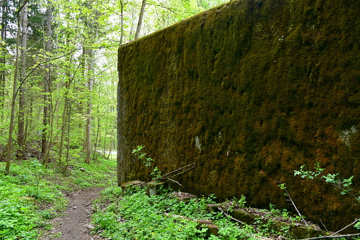 A close up on a bunker or bomb shelter being a remnant of World War II covered with moss and other flora located in the middle of a dense forest or moor next to a small dirt path in Poland