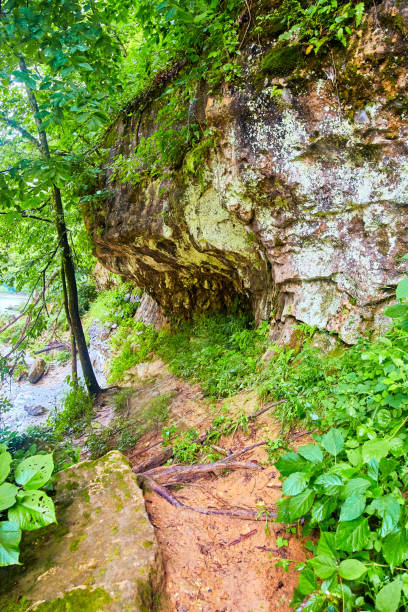 istock Trail in forest with large boulders covered in Lichen 1491322652