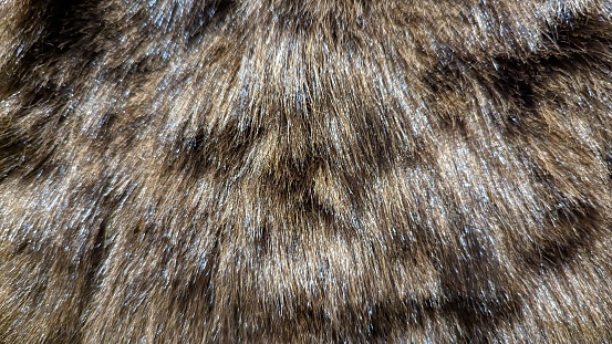 Close up of deer fur