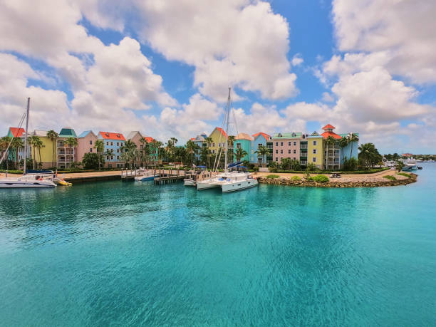 istock Tropical water with dock and boats 1491323027