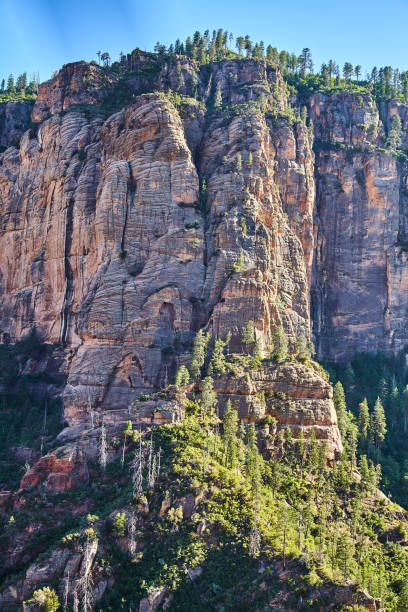 istock Vertical aerial large rock mountain wall 1491323176