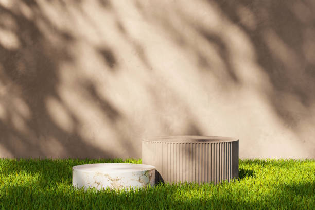 istock 3D rendering platform podium with grass plant product presentation background 1491323233