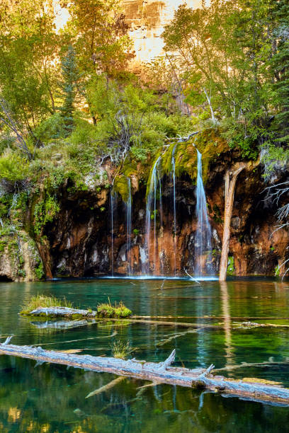istock Vertical of Hanging Lake with waterfall and log 1491323789