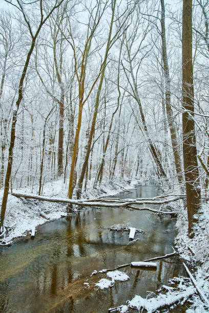 istock Vertical of river surrounded by trees covered in snow 1491323978