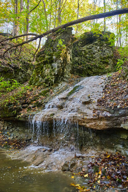 istock Vertical of waterfall dripping next to large rocks 1491324012