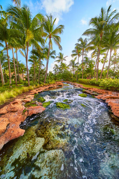 istock View of tropical river with red rocks, moss, and palm trees 1491324181