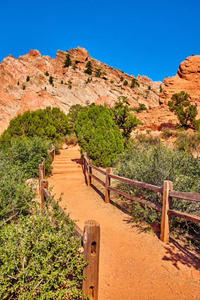 istock Walking desert sand path through growth leading to red rocky mountains against blue sky 1491324331