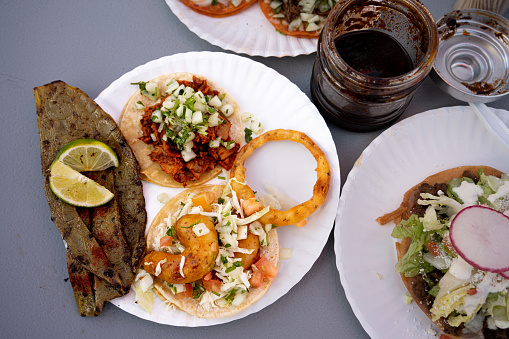 Moving Clip Variety of Street Tacos Including Shrimp, Buché and Birria Tacos and a Tostada with Chile Arbol Sauce and Consommé with Limes and Radish and Nopal Cactus