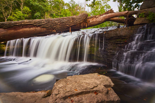 istock Waterfall with green forest and fallen tree log over falls with fallen red and yellow leaves and a small whirlpool 1491324673