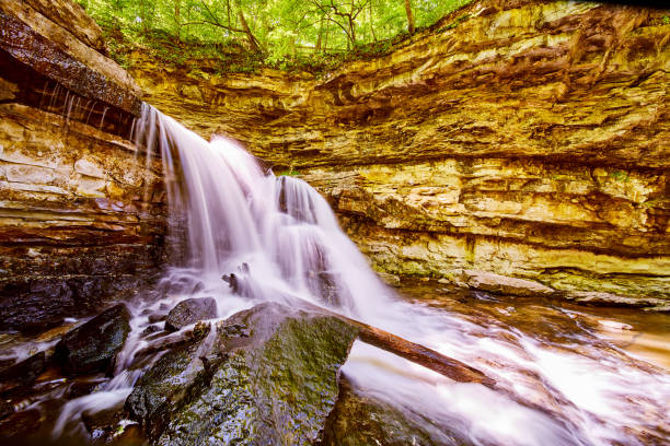 istock Waterfalls in canyon gorge with boulders and log 1491324704