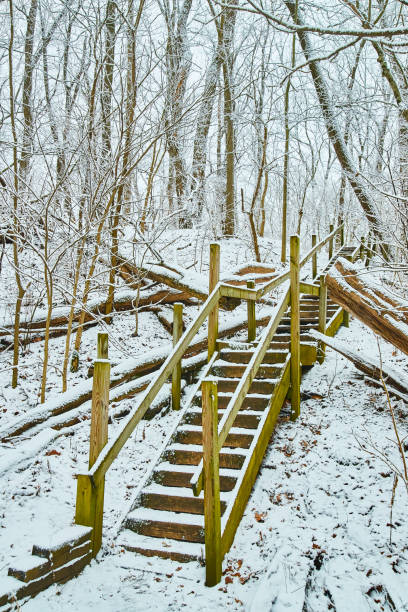 istock Wood steps leading up hillside in winter with trees covered in snow 1491325830