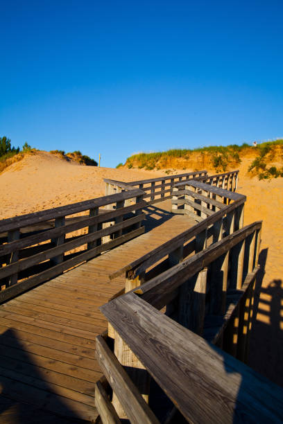 istock Wooden bridge zigzagging across sand dunes into a blue sky 1491325844