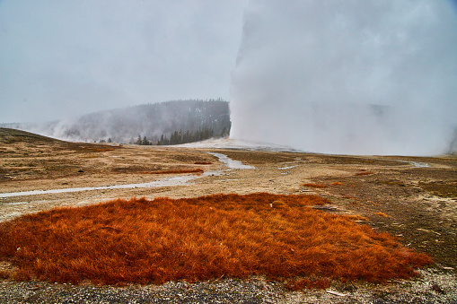 Image of Yellowstone iconic Old Faithful in winter going off
