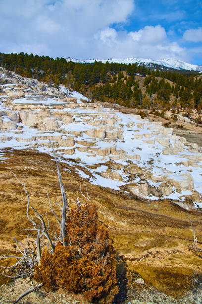 istock Yellowstone Mammoth Hot Spring terraces covered in snow 1491326342