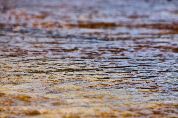 istock Yellowstone pool runoff creates hundreds of tiny terraces 1491326345