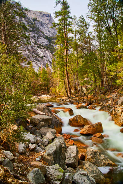 istock Yosemite river with cascading falls and boulders 1491326808