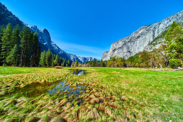 istock Yosemite Valley views from lush fields of mountains 1491326869