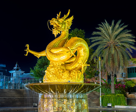 Illuminated and glowing golden dragon in old phuket town phuket Thailand this dragon is on the middle of a big water pond and fountain