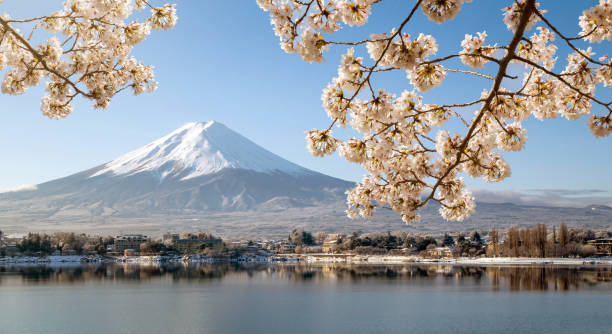 monte fuji con fiore ciliegio al lago kawaguchiko in giappone - volcano lake blue sky autumn foto e immagini stock