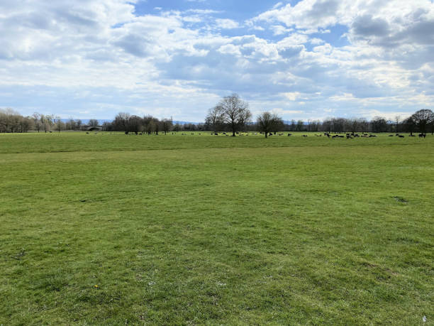istock A view of the Shropshire Countryside 1491334726