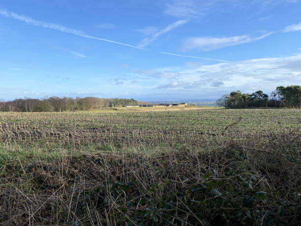 istock A view of the Cheshire Countryside 1491334789